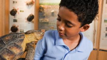 Use Summer Fun to Build Background Knowledge